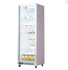 Commercial Showcase Freezer Door