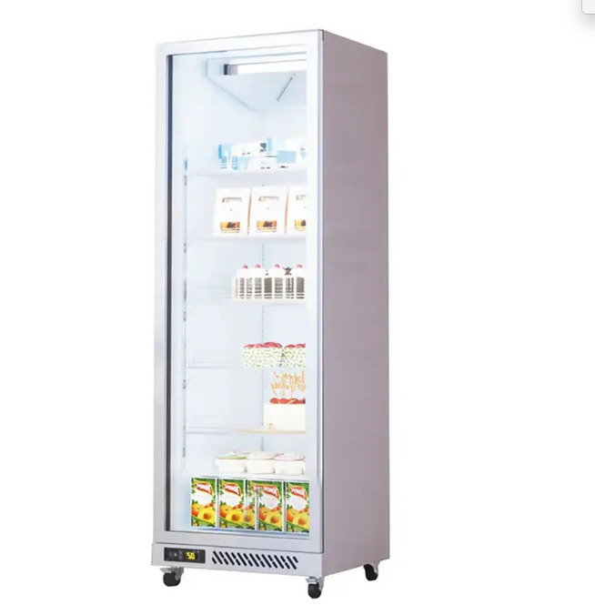 Commercial Showcase Freezer Door