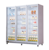 Commercial Showcase Freezer Door