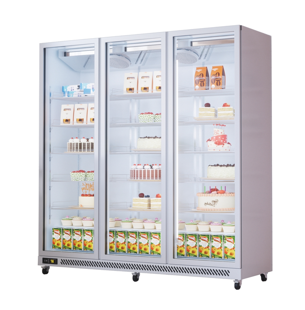 Commercial Showcase Freezer Door