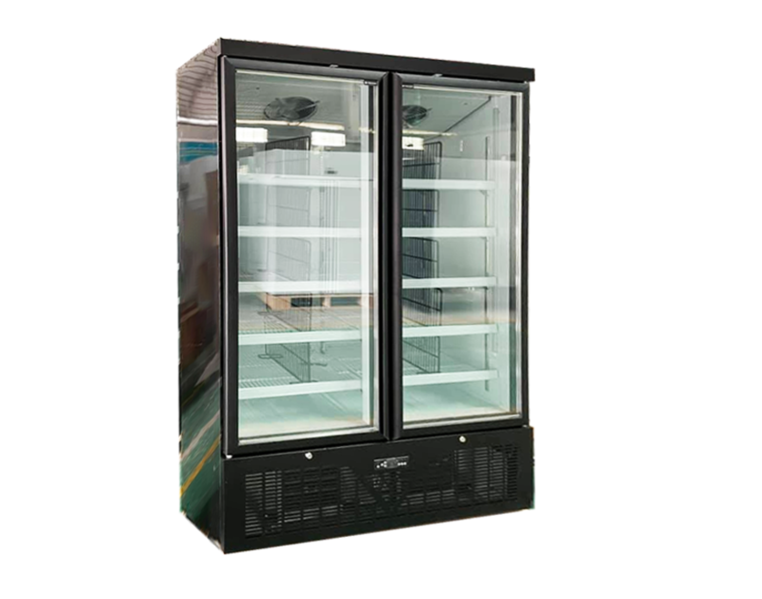 Commercial Showcase Freezer Door