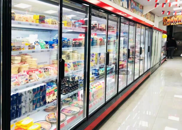 Glass Doors for Vertical Refrigerator