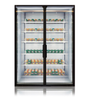 Glass Doors for Vertical Refrigerator